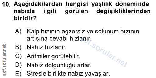 Soru 10
