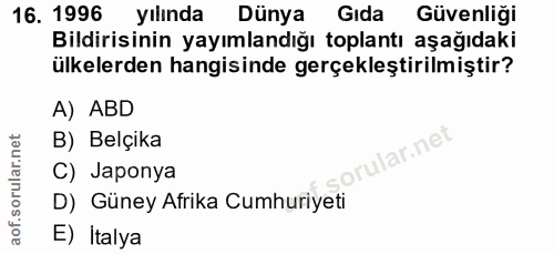 Soru 16