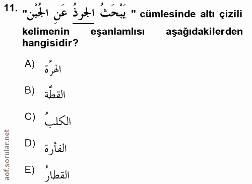 Soru 11