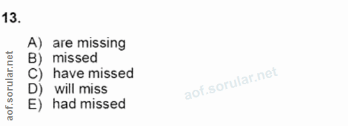 Soru 13
