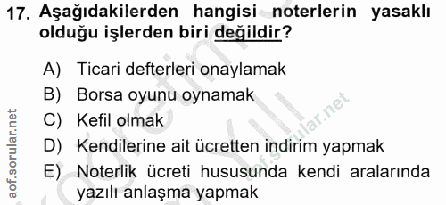 Soru 17