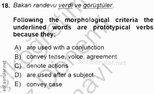 Soru 18