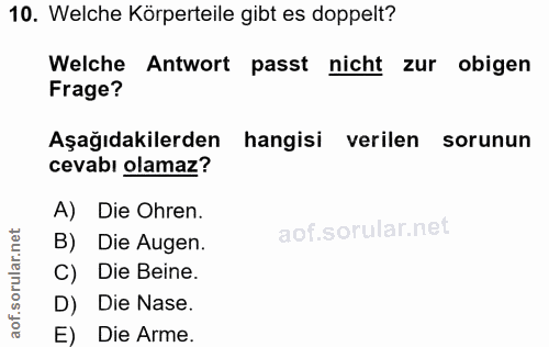 Soru 10