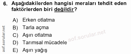 Soru 6