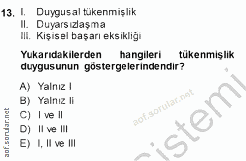 Soru 13