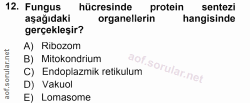 Soru 12