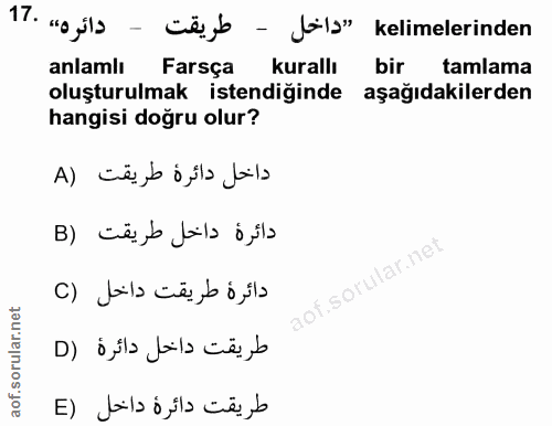Soru 17