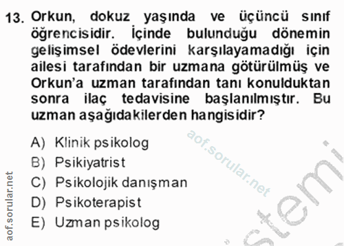 Soru 13