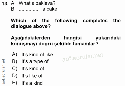 Soru 13