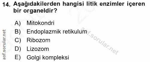 Soru 14