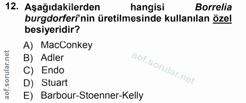 Soru 12