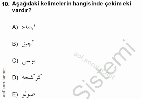 Soru 10