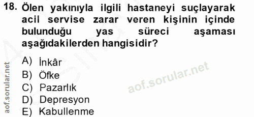 Soru 18