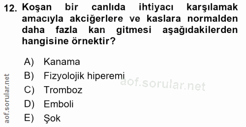 Soru 12