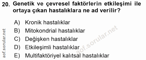 Soru 20