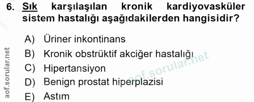 Soru 6