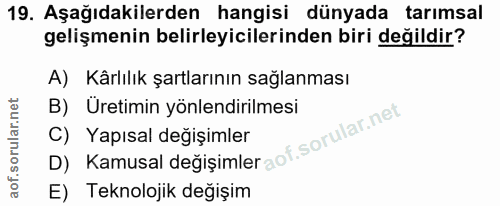 Soru 19