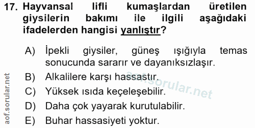 Soru 17