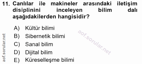 Soru 11