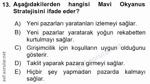 Soru 13