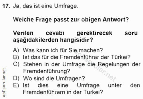 Soru 17