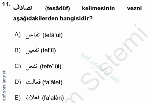 Soru 11