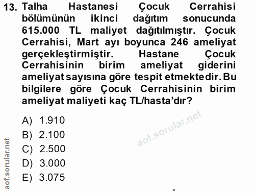 Soru 13