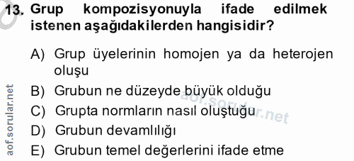 Soru 13