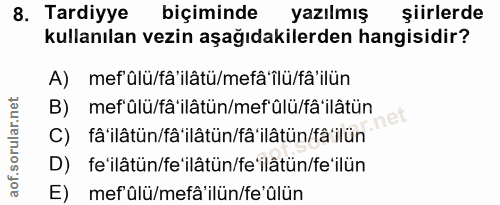 Soru 8