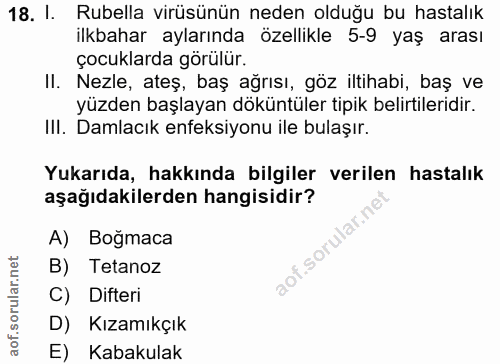 Soru 18