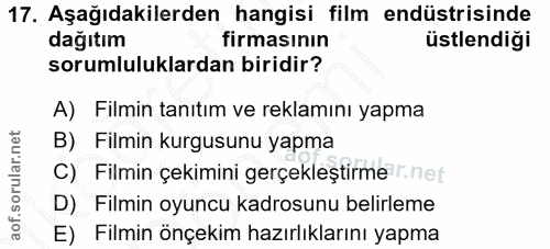 Soru 17