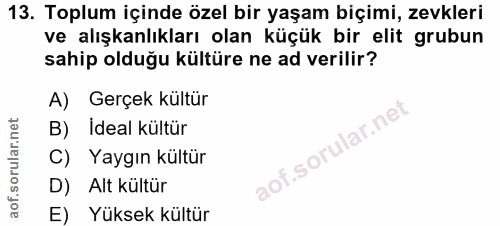 Soru 13