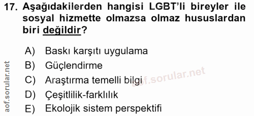 Soru 17