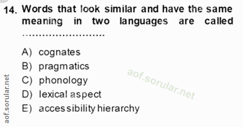 Soru 14