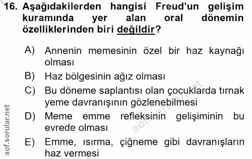 Soru 16