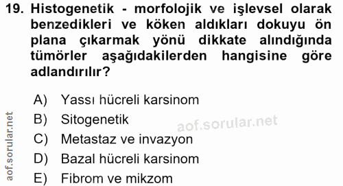 Soru 19