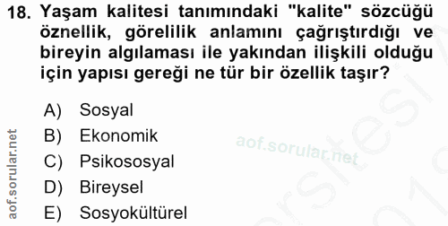 Soru 18
