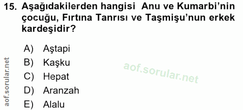 Soru 15