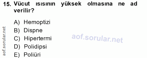 Soru 15