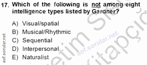 Soru 17