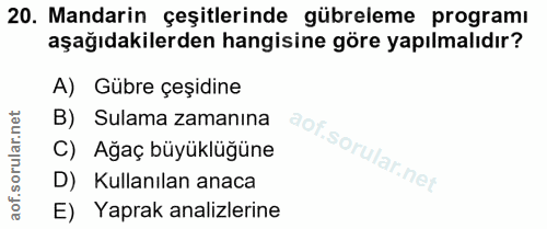 Soru 20