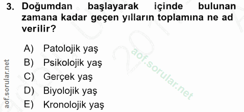 Soru 3