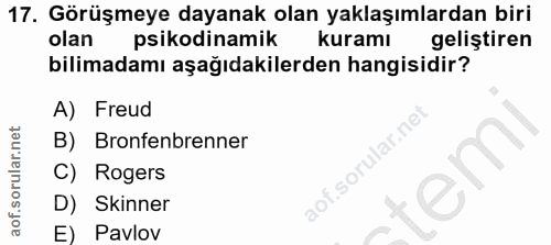 Soru 17