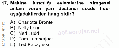 Soru 17