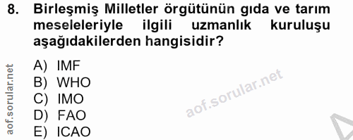 Soru 8