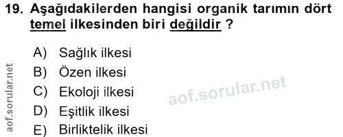 Soru 19