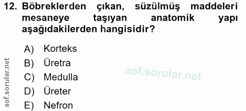 Soru 12