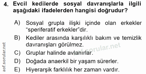 Soru 4