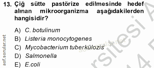 Soru 13