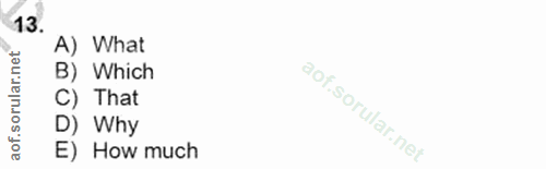 Soru 13
